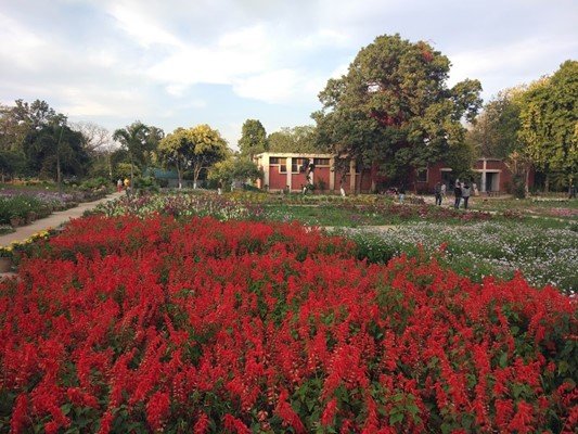 Baradari Garden