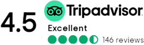 Tripadvisor Reviews